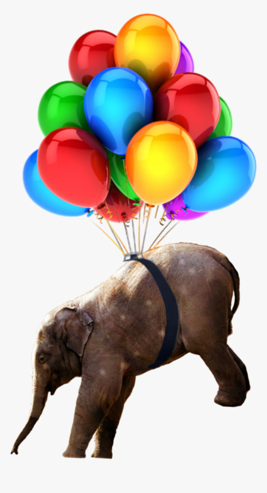 #babyelephant #nobackground #elephant #balloons #png - Hd Birthday Images Balloons, Transparent Png