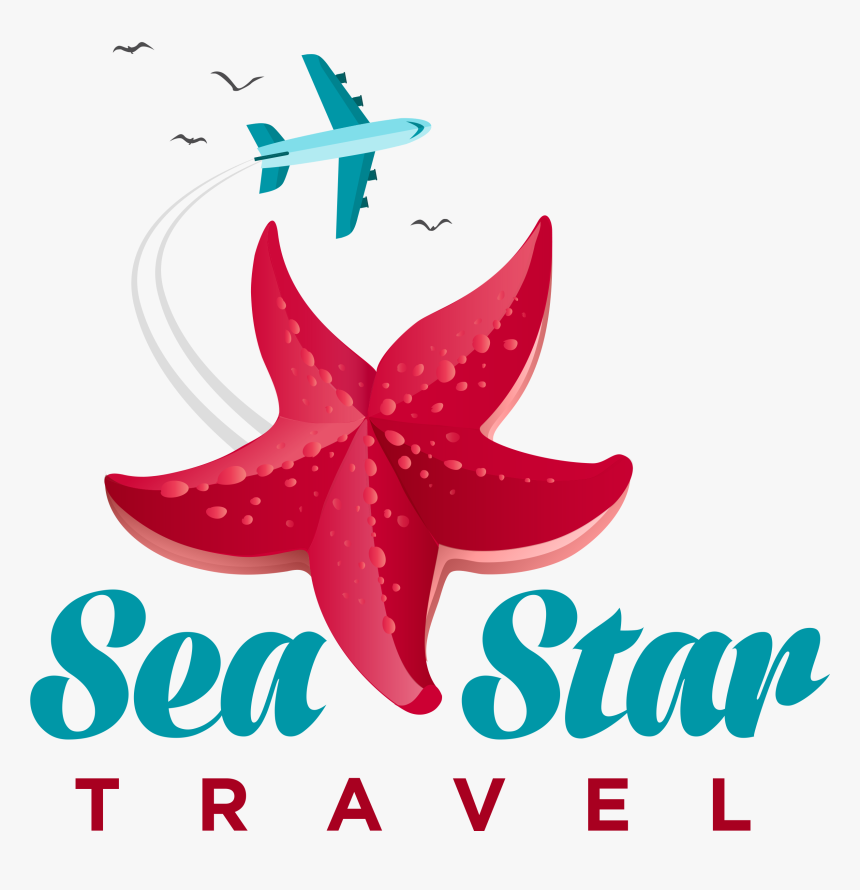 Transparent Sea Star Png, Png Download