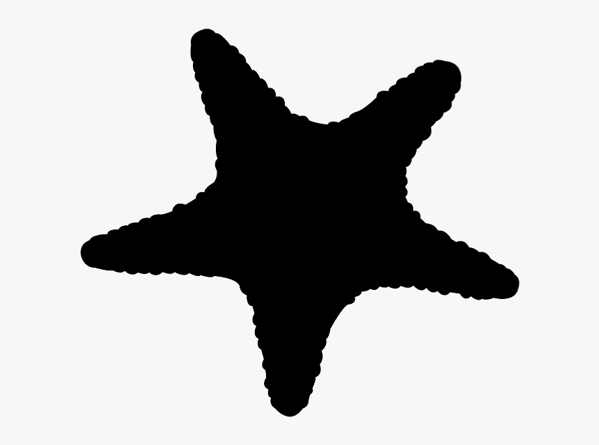 Silhueta Estrela Do Mar Png Transparent Png Transparent Png Image Pngitem