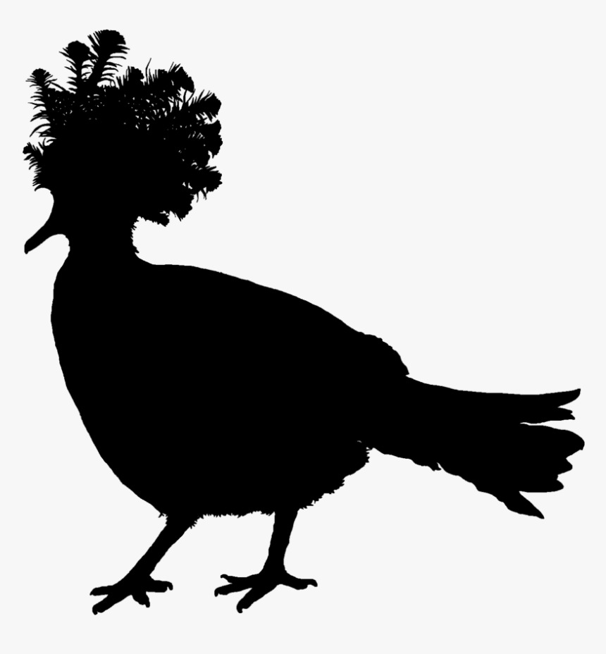 Victoria Crowned Pigeon Silhouette, HD Png Download