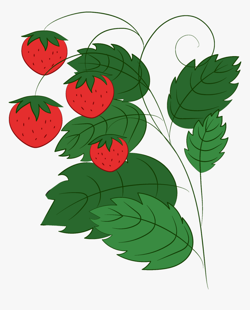 Clip Art, HD Png Download