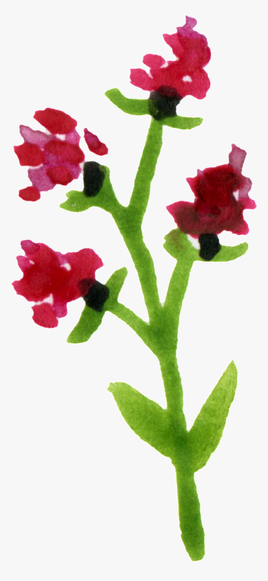 Purple Flower Transparent Decorative - Watercolor Paint, HD Png Download