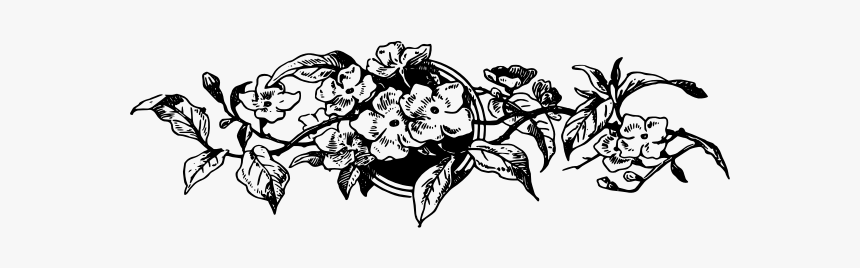 Floral Decorative Divider - Portable Network Graphics, HD Png Download