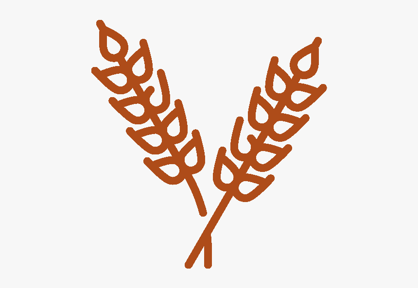 Wheat, HD Png Download