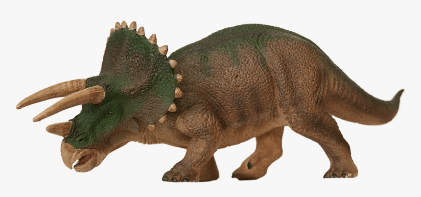 Triceratops, HD Png Download