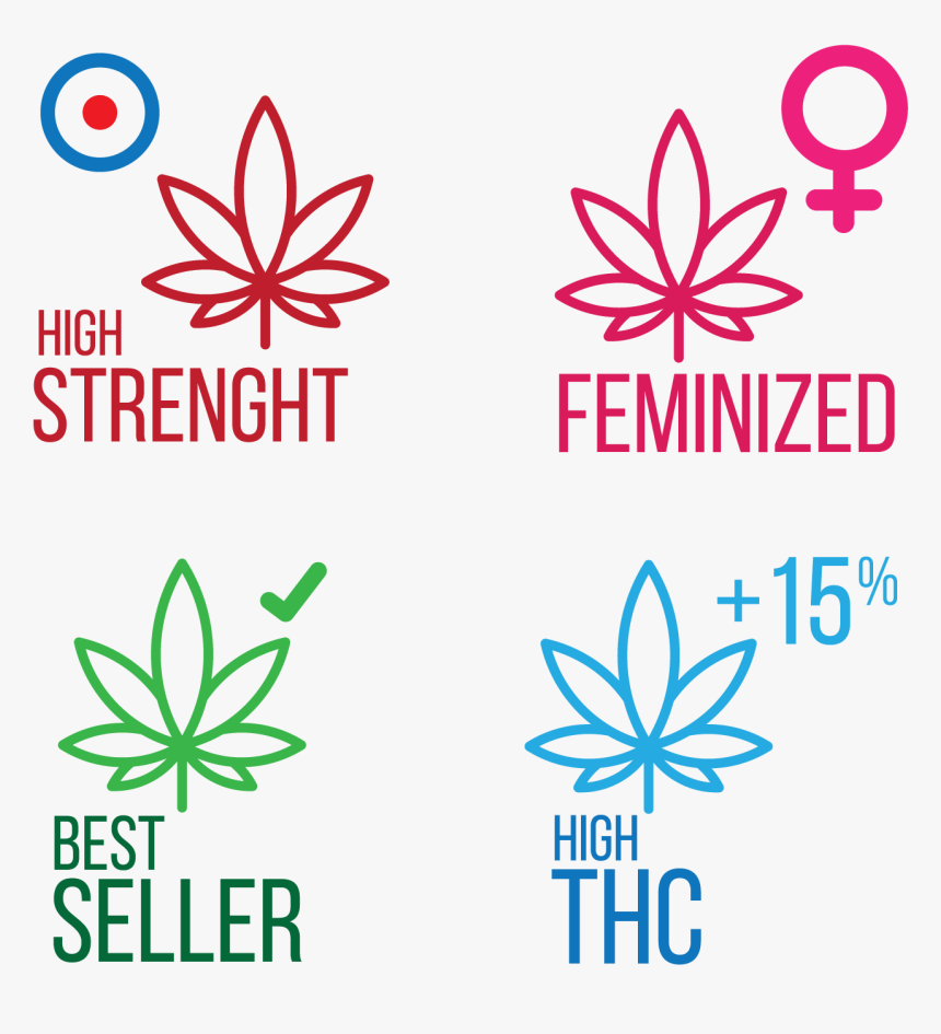 Elegant, Playful, Shipping Icon Design For Gorilla - Graphic Design, HD Png Download