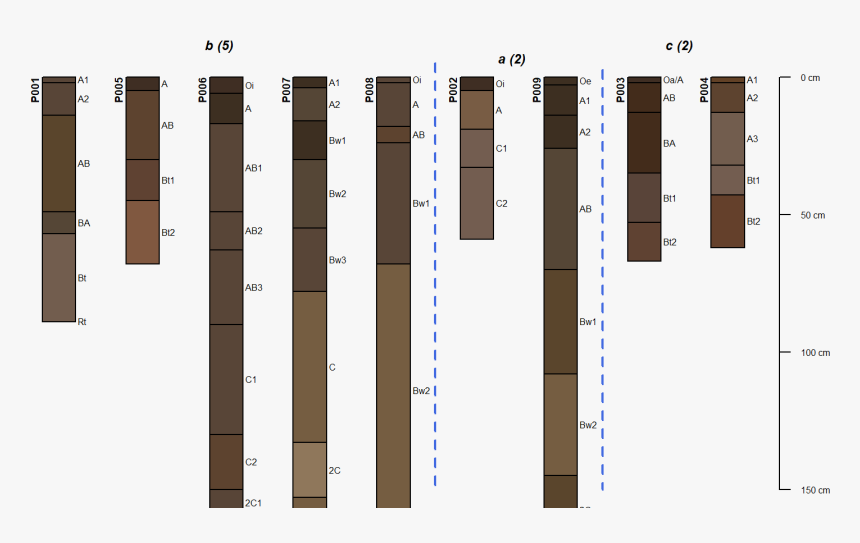 Wood, HD Png Download