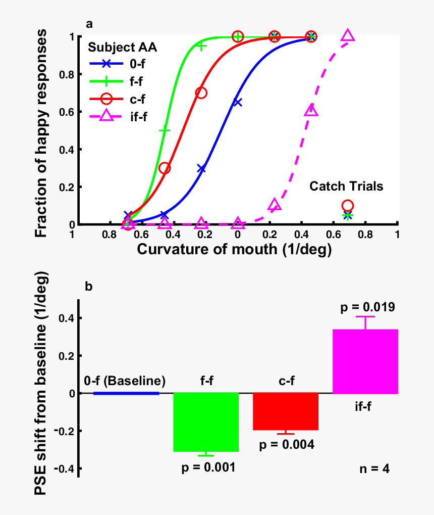 Diagram, HD Png Download