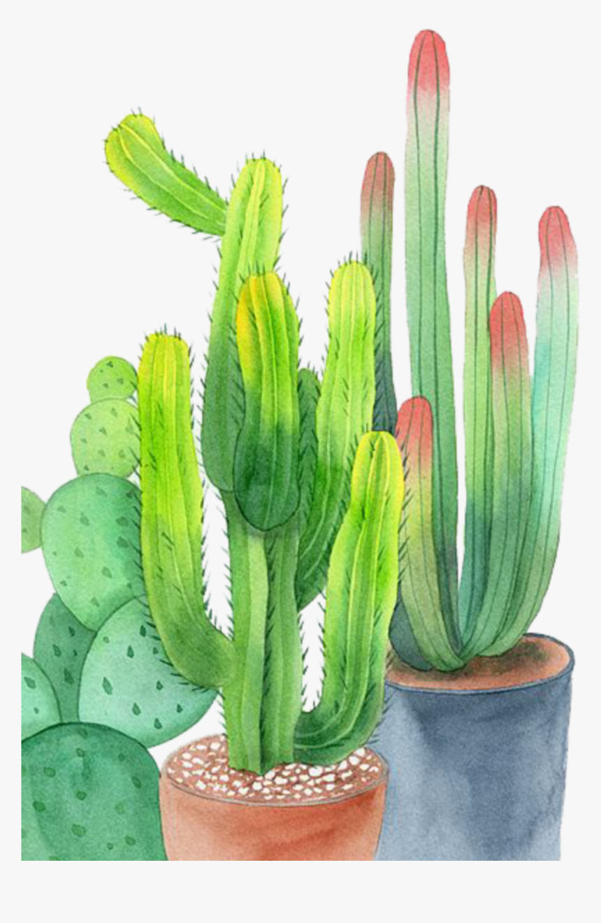 #ftestickers #watercolor #cactus #cacti #potted - Watercolor Painting, HD Png Download