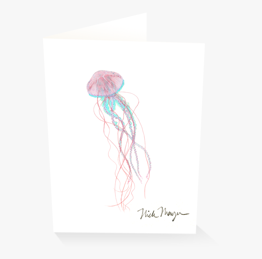Pink Jellyfish - Sketch, HD Png Download