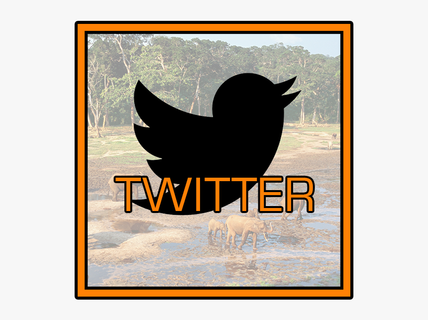 Twitter Icon Copy - Silhouette, HD Png Download