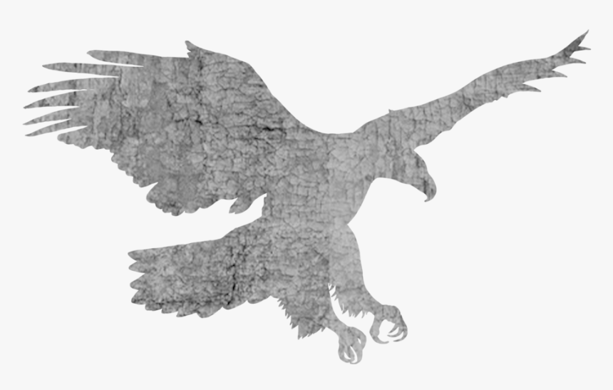 Swj2020 Icon Eagle - Nursery, HD Png Download
