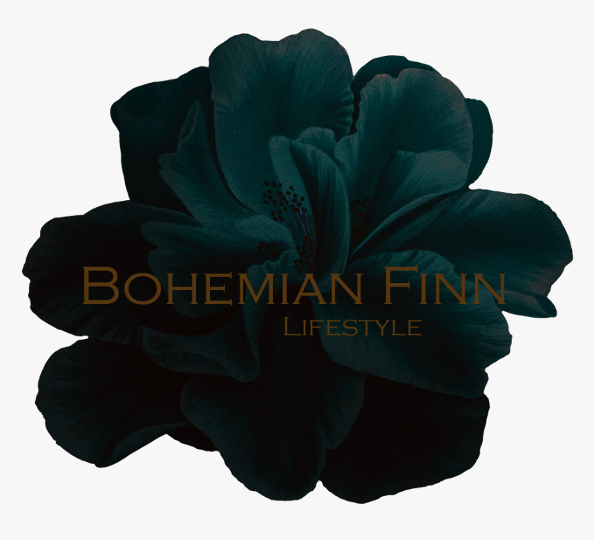 Bohemian Finn Lifestyle, HD Png Download