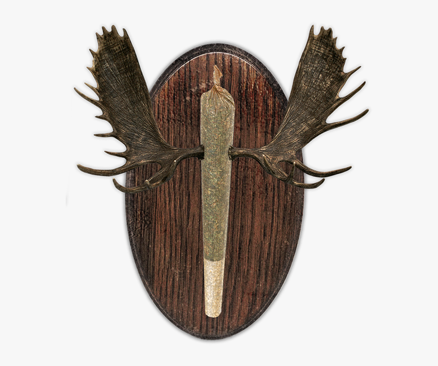 Cresco-small, HD Png Download