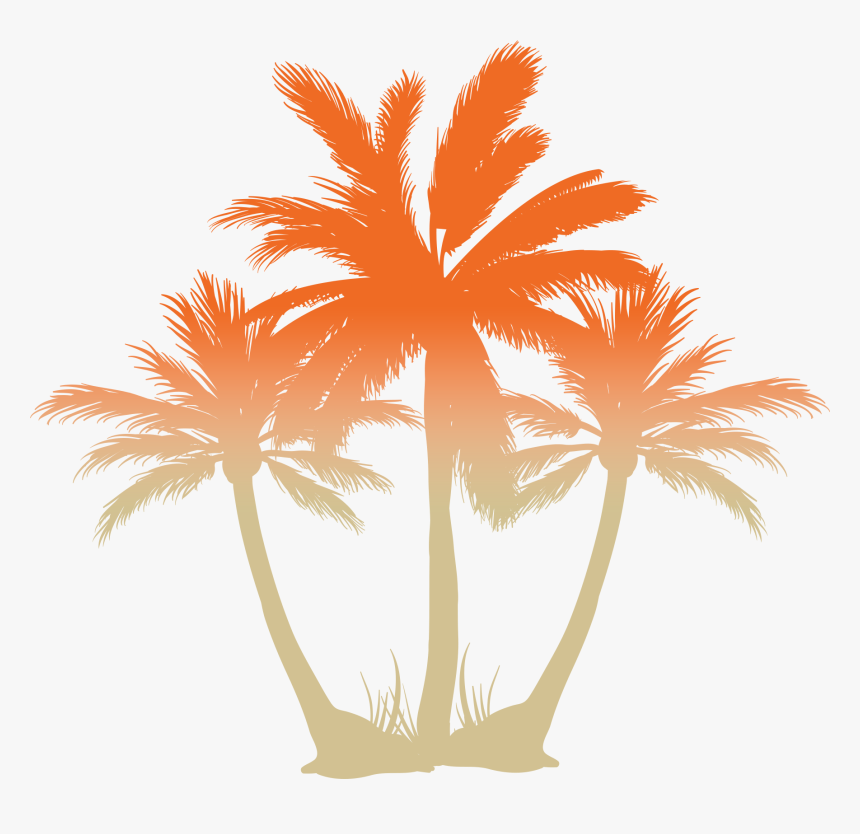 My Summer Vacation As A Background, HD Png Download