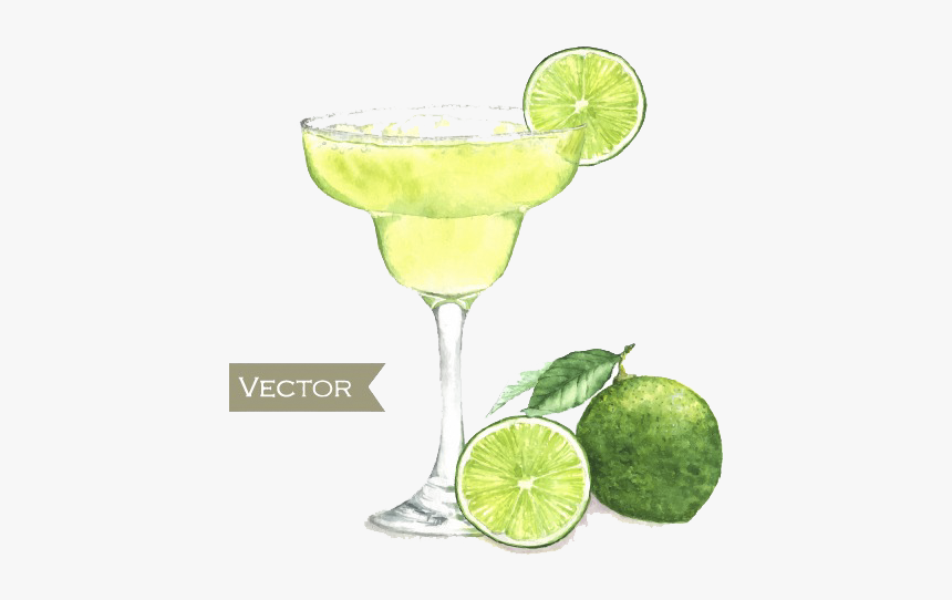 Watercolor Margarita Png - Margarita Drawing, Transparent Png