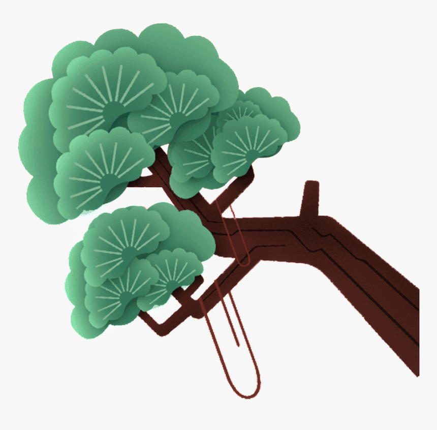 Slanted Pine Tree Transparent Illustration About Vector,decorative - 松柏 卡通, HD Png Download