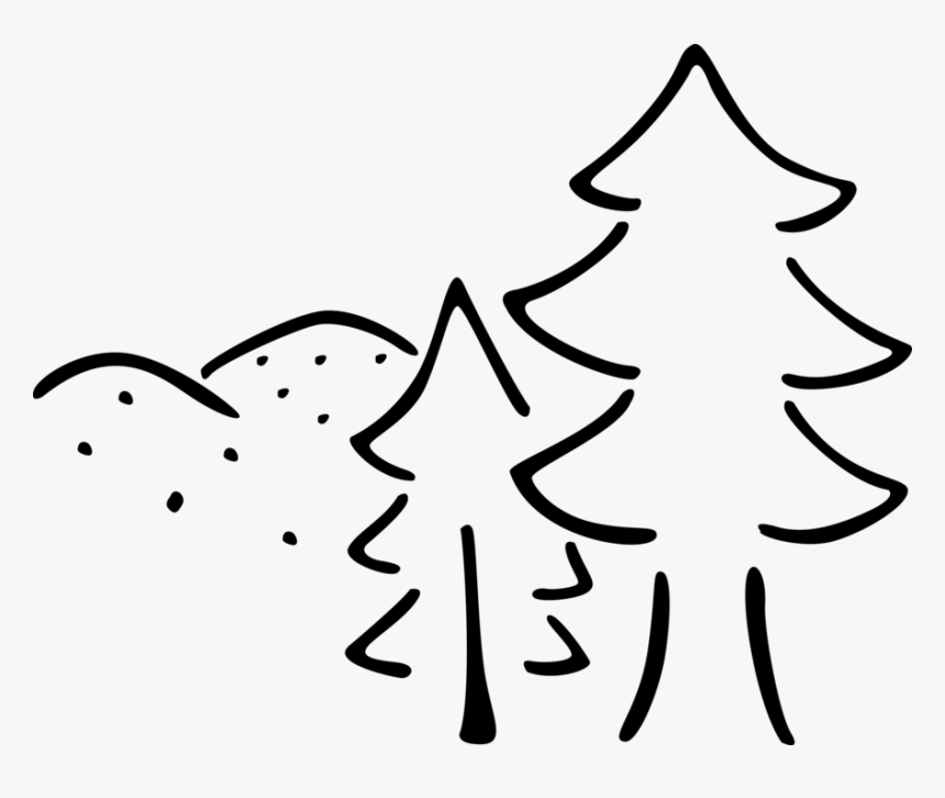 Vector Illustration Of Evergreen Coniferous Pine Trees - People Magazine, HD Png Download