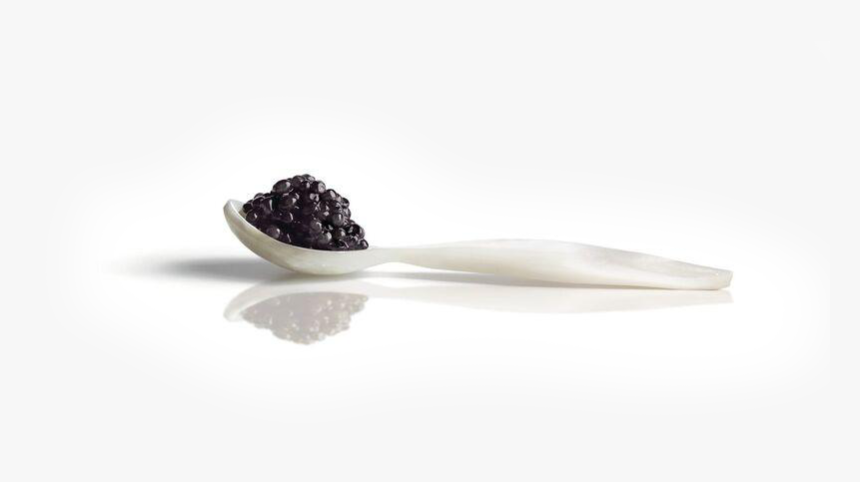 Frijoles Negros, HD Png Download