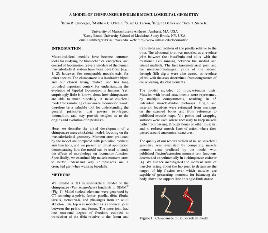 Document, HD Png Download