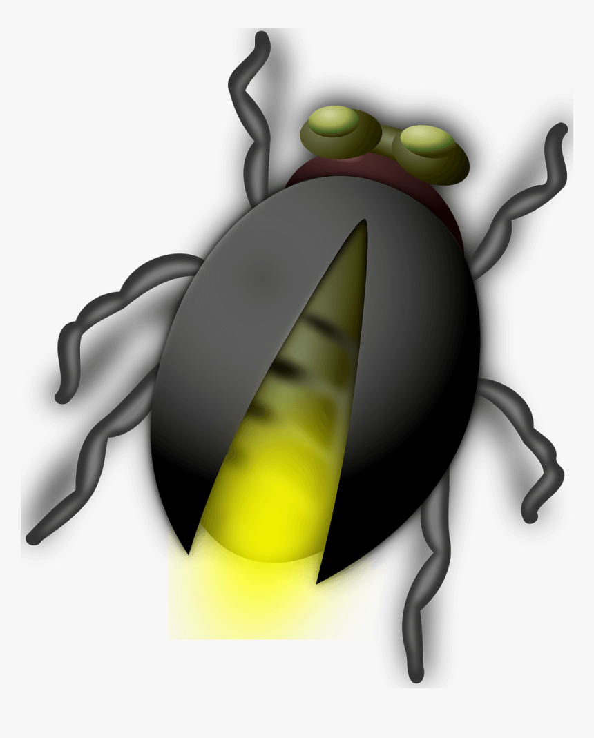 Glow Worm Png, Transparent Png