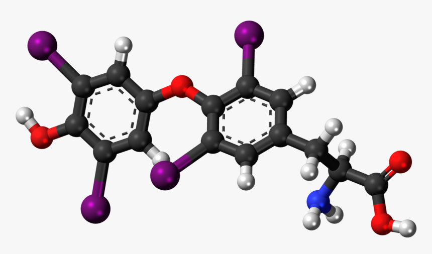 L Dopa 3d Png, Transparent Png