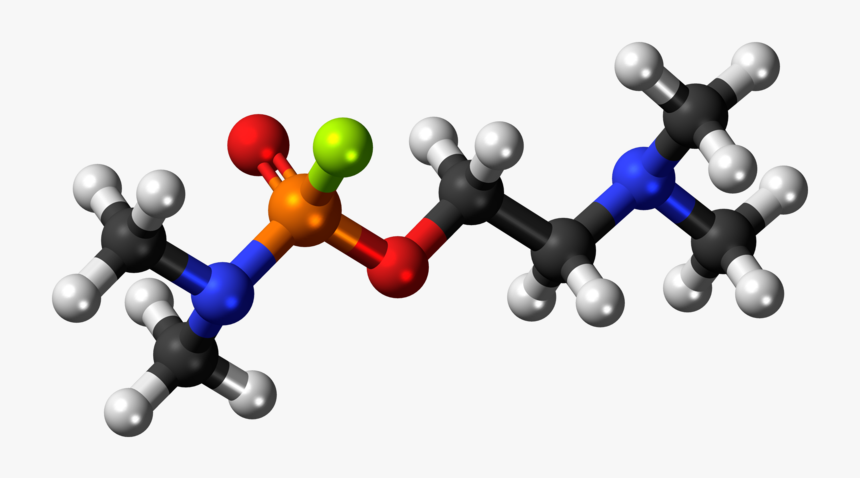 Succinic Acid 3d Structure, HD Png Download