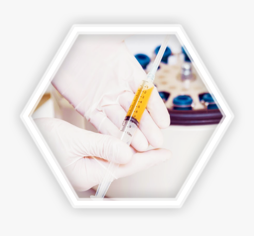 Bellablood Prp Treatment Overview - Platelet-rich Plasma, HD Png Download