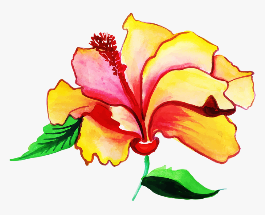 Hawaiian Hibiscus, HD Png Download