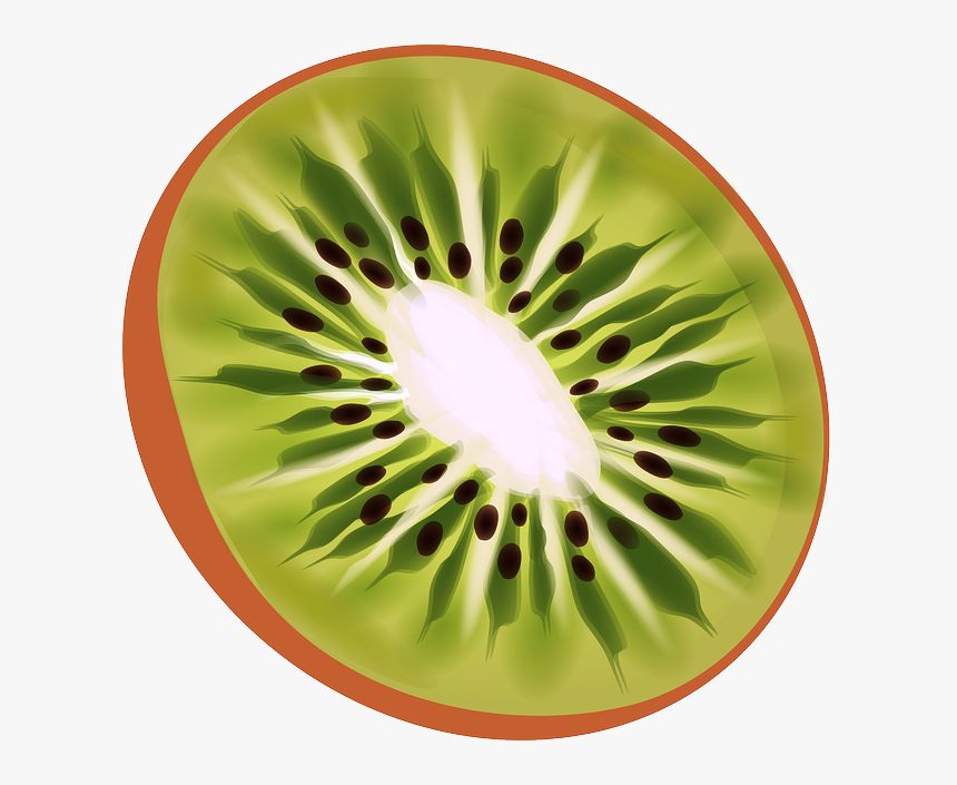 Kiwi Png, Transparent Png