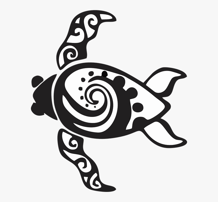 Thumb Image - Swirl Turtle, HD Png Download