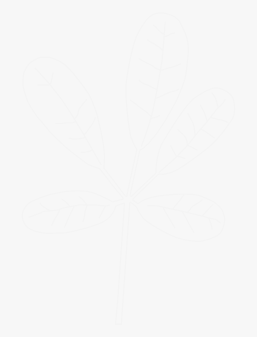 Butterfly, HD Png Download