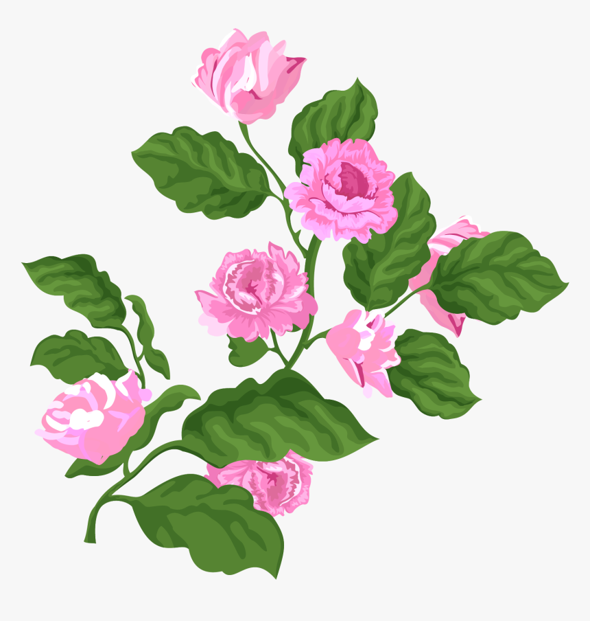 Rose Pink Valentine Plant Png And Vector Image - รูป ดอก กุหลาบ สีชมพู, Transparent Png