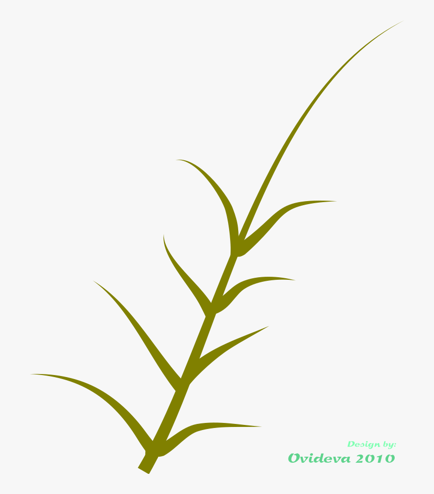 Green Plant Svg Clip Arts - Clip Art, HD Png Download
