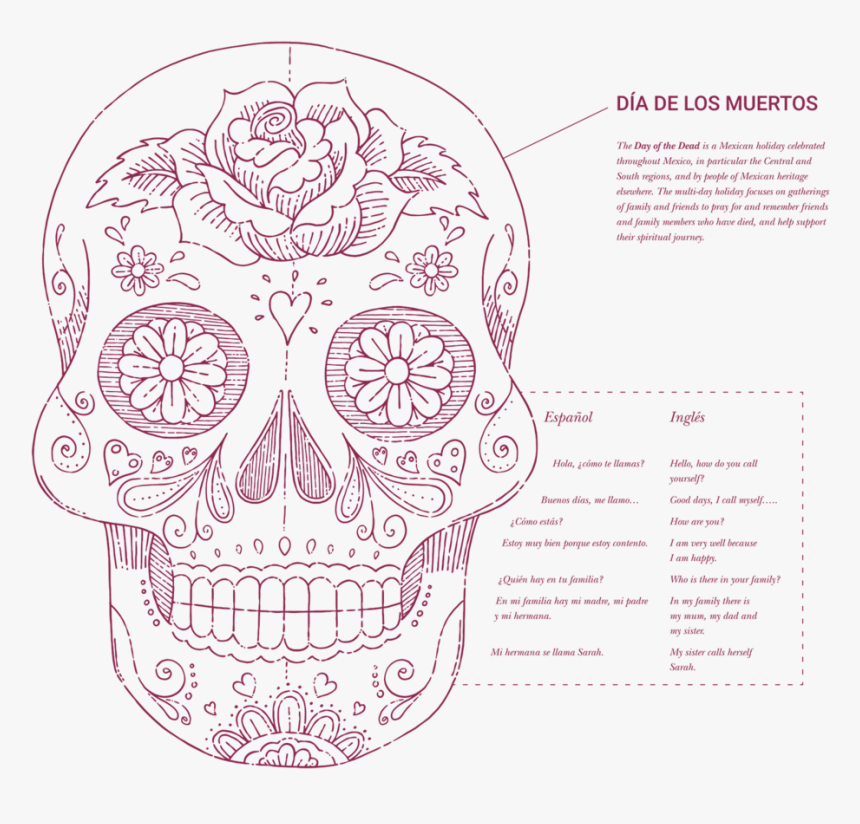 Blueprint Information Modern Foreign Language - Skull, HD Png Download