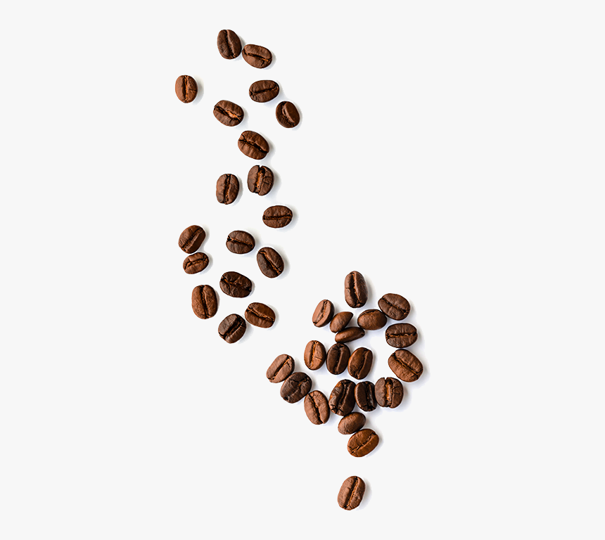 Almond, HD Png Download