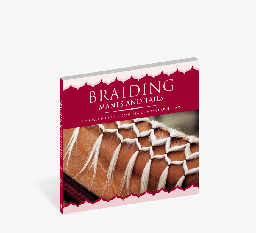 Cover - Invlechten Staart Pony, HD Png Download