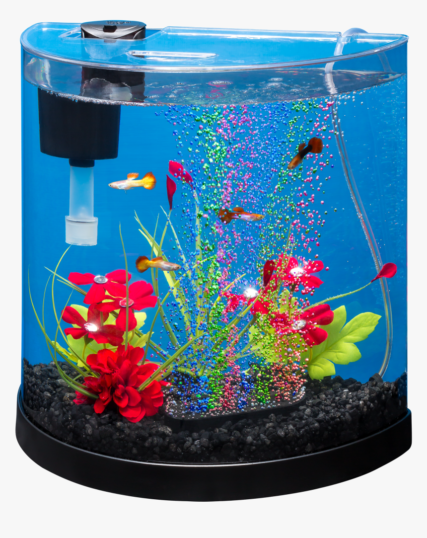 Aquarium, HD Png Download
