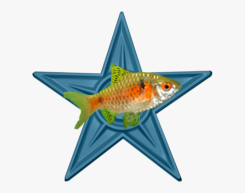 Aquarium Fish Barnstar - Video Game, HD Png Download
