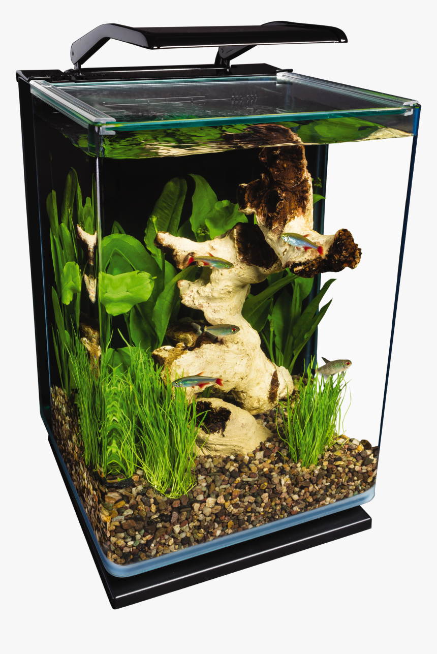 Marineland Portrait 5 Gallon, HD Png Download