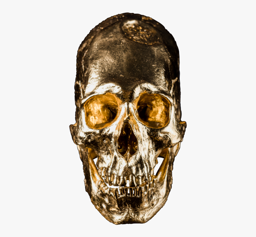 Alien Skull No - Skull, HD Png Download