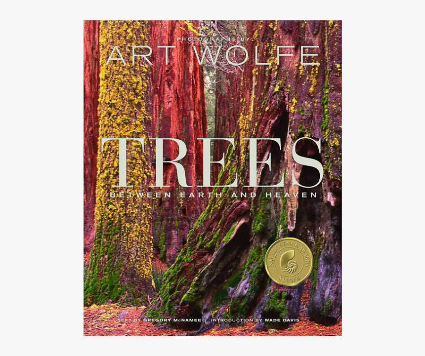 Trees Between Earth And Heaven, HD Png Download