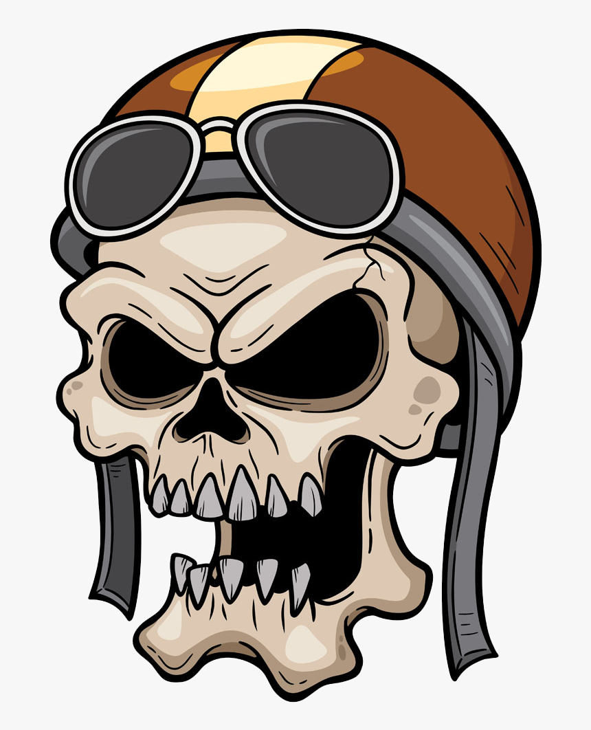 Clipart Skeleton Cranium - Vector Skull Illustration, HD Png Download