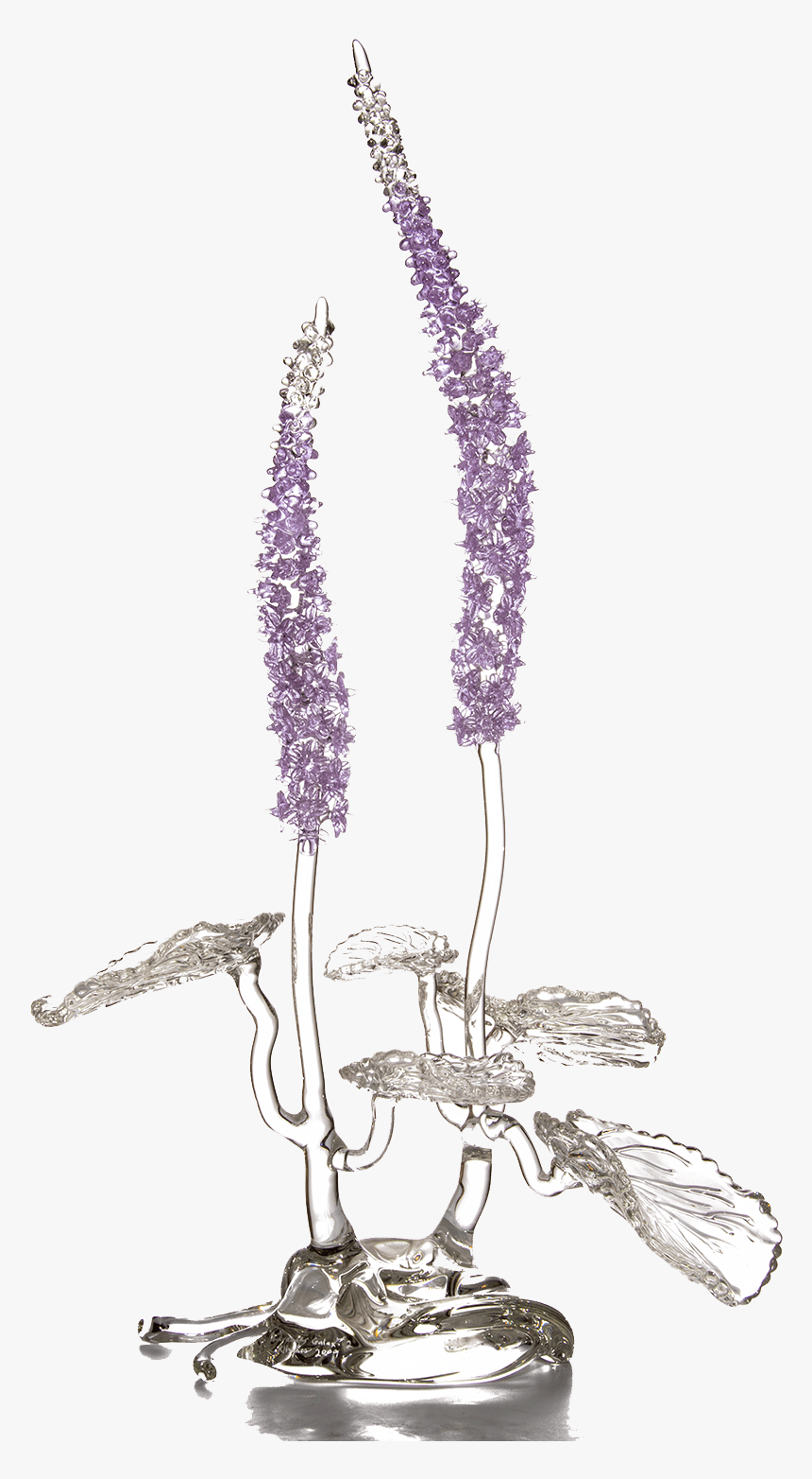 Authentic Hotblown Glass Sculpture Lavender Galax - Fernleaf Lavender, HD Png Download