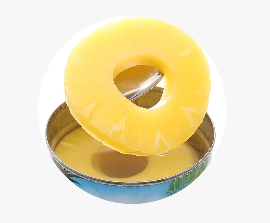 Duakhoanh - Circle, HD Png Download