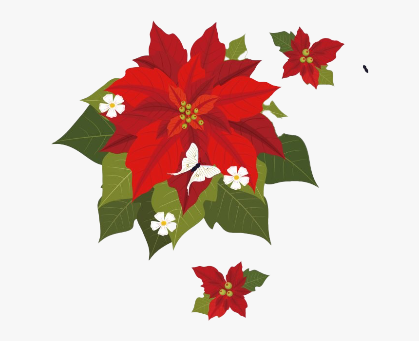 Christmas Poinsettia Png Transparent - Christmas Poinsettia Painting Clipart, Png Download