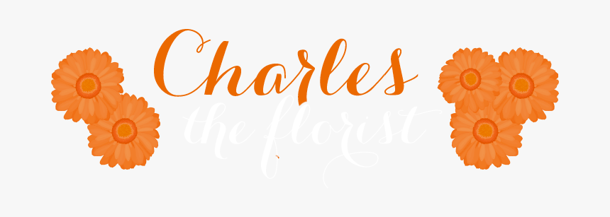 Charles The Florist Of Appleton, Llc - Barberton Daisy, HD Png Download