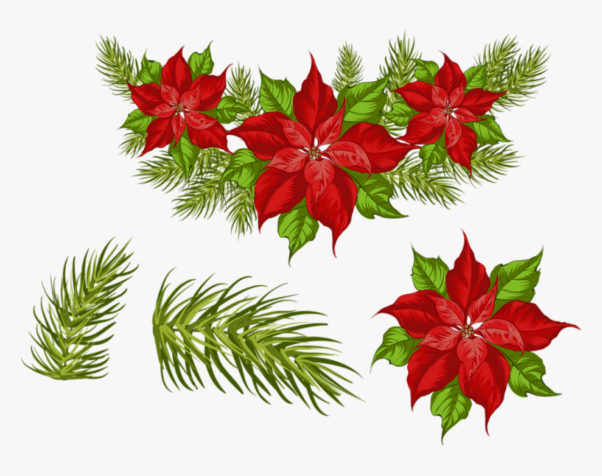 ❄️ Tube Noël, Poinsettia Png - Poinsettia, Transparent Png