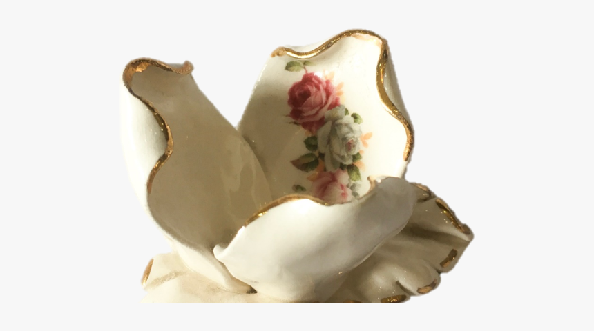 Still Life Photography, HD Png Download