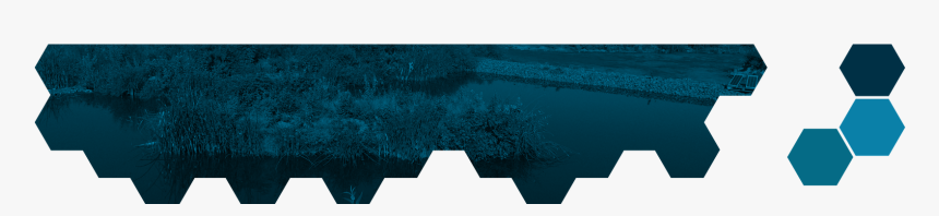 Reflection, HD Png Download